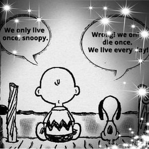 Meet your Posher, Edith